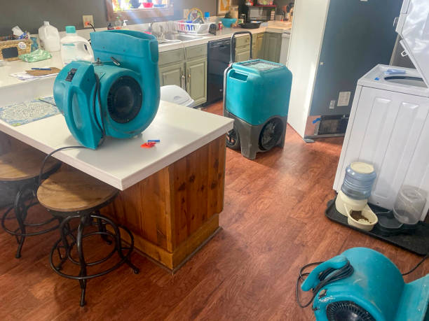 Best Ceiling water damage repair  in Pittsburg, TX