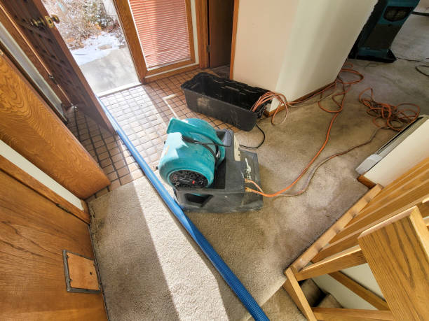 Best Water damage restoration specialists  in Pittsburg, TX