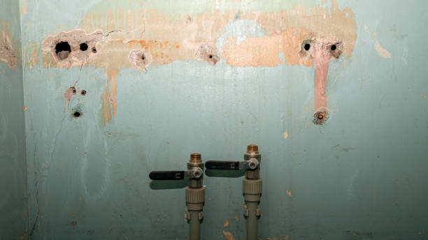 Best Local water damage restoration  in Pittsburg, TX