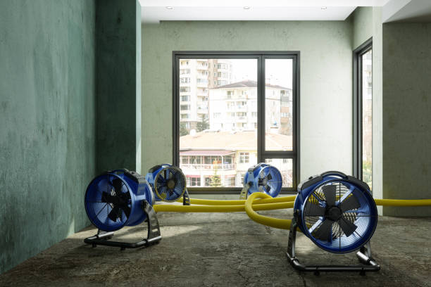 Best Water damage restoration near me  in Pittsburg, TX