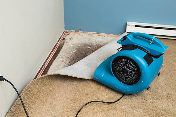 Best Flood restoration services  in Pittsburg, TX